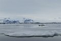 Jokulsarlon (15)